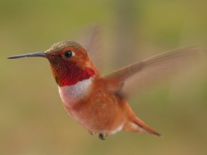foto gemaakt door Maarten Ligtvoet