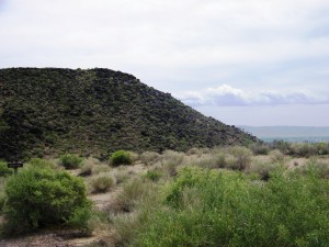 77. Petroglyphs ABQ 27 mei 2015 045