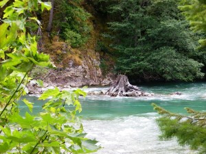 116. naar Diablo Lake en Newhalem 27 juli 2015 018