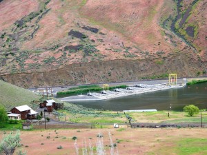 8. Langs de Yakima River door de Yakima Canyon 15 mei 2016 018